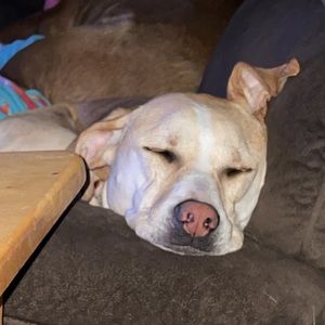 Meet your Posher, Breanna